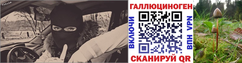 Галлюциногенные грибы Magic Shrooms  Мурино 