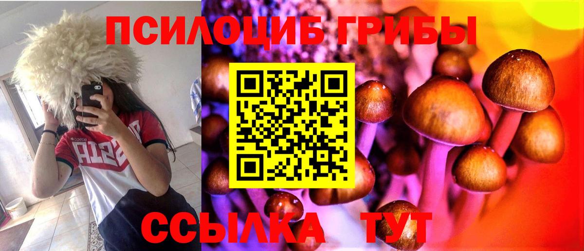 Галлюциногенные грибы Magic Shrooms  Вход с VPN  Псилоцибиновые грибы Magic Shrooms  купить   Мурино 