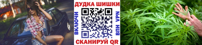 где найти наркотики  Мурино  Каннабис индика 