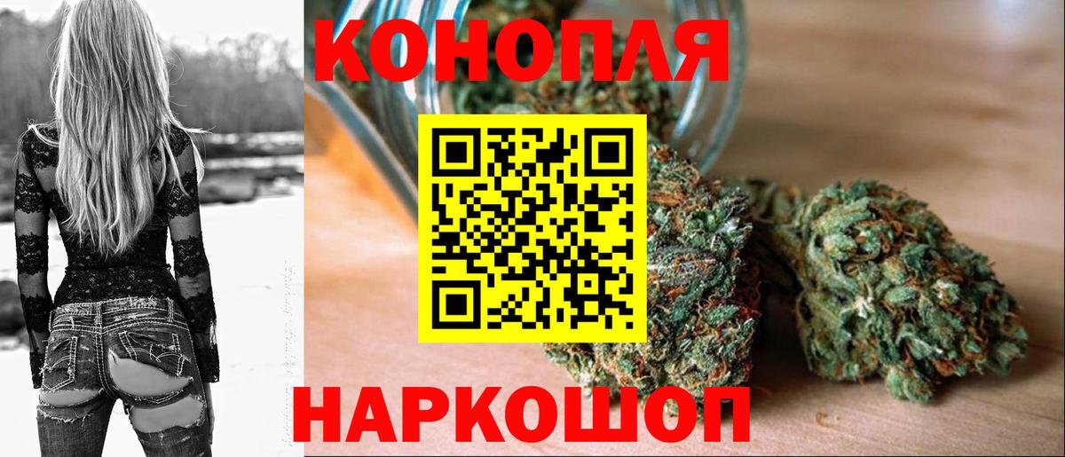 Бошки марихуана тримм  Вход с VPN  Марихуана гибрид  Шишки марихуана сатива  Мурино 